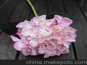 绣球鲜花价格 绣球鲜花批发 绣球鲜花厂家